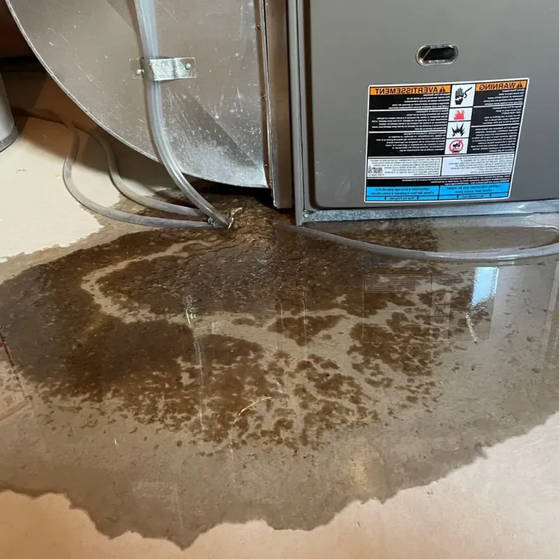 Pipe Burst and Leak Restoration in Bloomingdale, GA