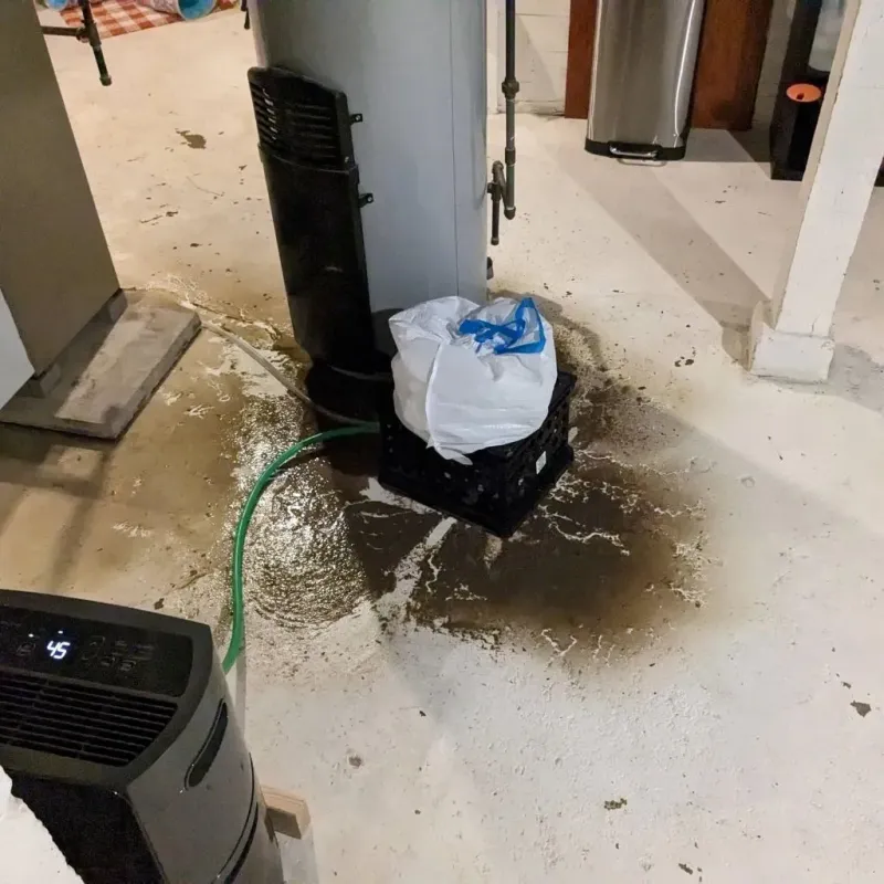 Sewage Backup Cleanup Service in Bloomingdale, GA